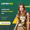 lotus  betting,